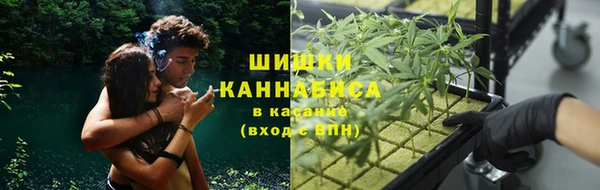 прущие крисы Богородицк