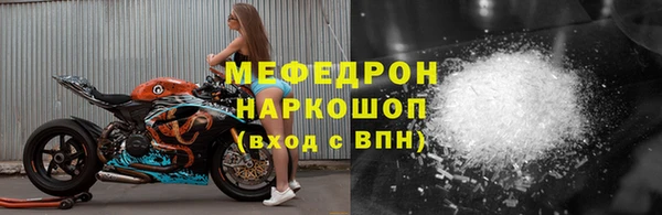 стаф Богданович