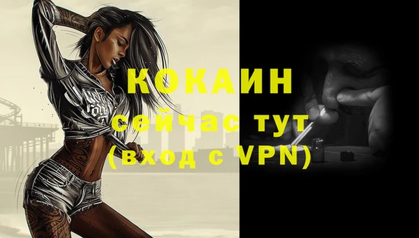 стаф Богданович
