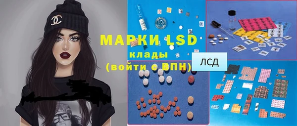 стаф Богданович