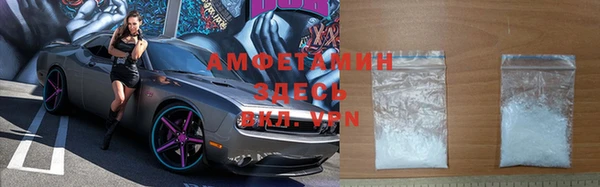 стаф Богданович