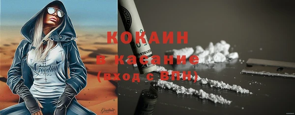 стаф Богданович
