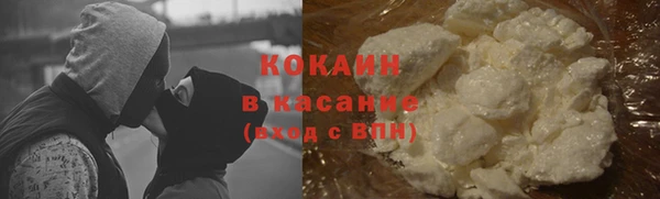 стаф Богданович