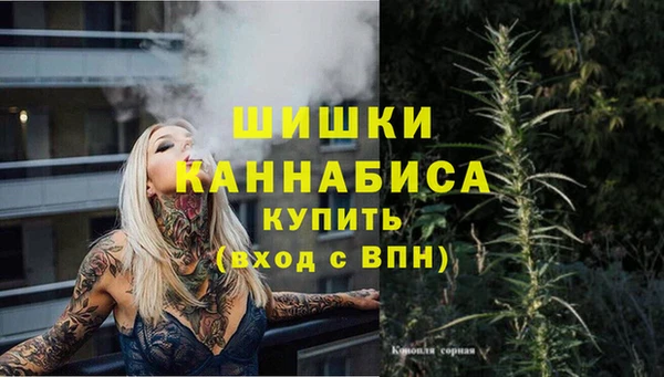 стаф Богданович