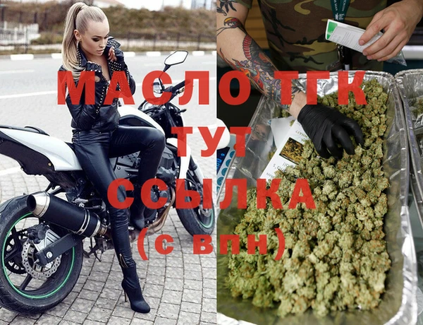 стаф Богданович