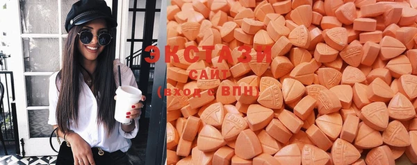 стаф Богданович