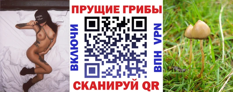 Галлюциногенные грибы MAGIC MUSHROOMS  Краснозаводск 
